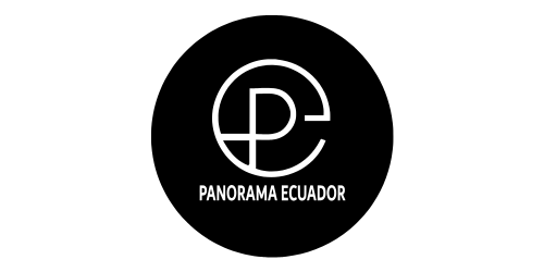 Diseño de páginas web en Pereira