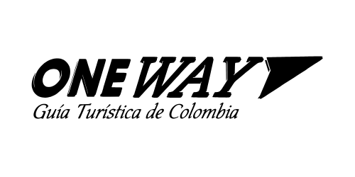 Diseño de páginas web en Pereira